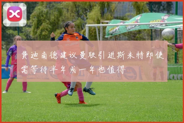 费迪南德建议曼联引进斯米特即使需等待半年或一年也值得